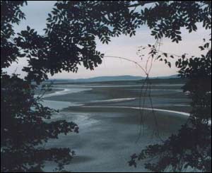 The view from Dylan Thomas' boathouse in Laugharne just after a rainstorm (James Ash, who now lives in Toronto)