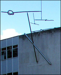 The Climber by Peter Logan