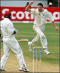 Steve Harmison celebrates his fifth wicket