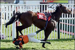 David Casey loses his ride in the Letherby and Christopher Novices Hurdle 