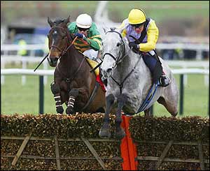 Iris's Gift lands the Stayers Hurdle