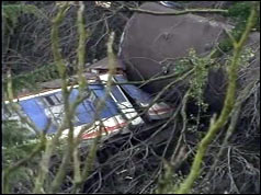 Coaches lie on an embankment