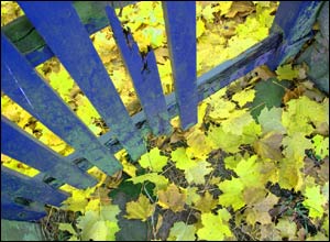'Blue gate' by Sheila Curzon