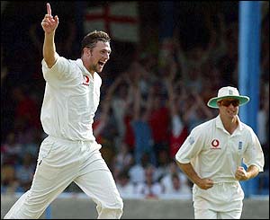 Harmison and Michael Vaughan celebrate Ramnaresh Sarwan's dismissal