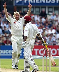Hoggard celebrates taking the wicket of Chanderpaul