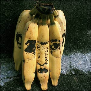 Tonico Lemos Auad's Drawing on Banana (Portrait) (2001-03)