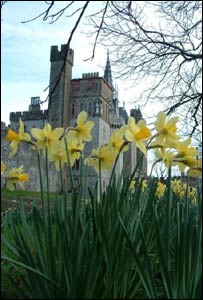 Nathan Collins sent this shot of Cardiff Castle from Bute Park 