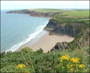Musselwick Sands in Pembrokeshire at low tide from Jackie Lawrence