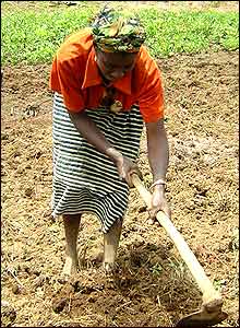 Woman working the land