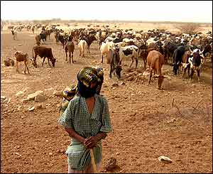 Cattle farmer