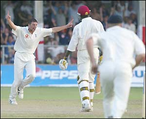 Steve Harmison celebrates the wicket of Chris Gayle