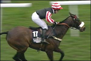Amberleigh House wins the Grand National