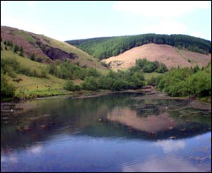 Clydach Lakes, Blaenclydach taken by Mal Durbin of Treherbert