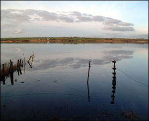 Llyn Coron, between Aberffraw and Malltraeth, as sent by Marc Rees Jones