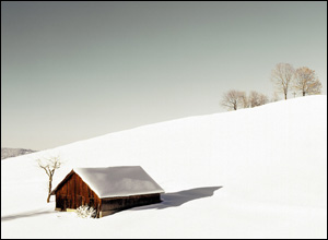 'Shadow' by Andrew Fleetwood