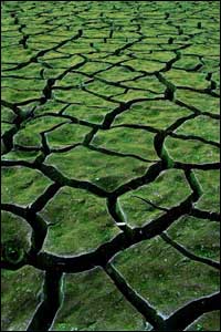 'Eastnor Lake' by Phil Callow