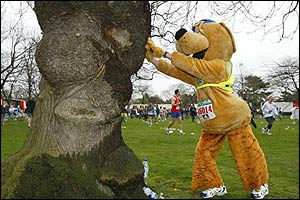 The runners prepare for the off