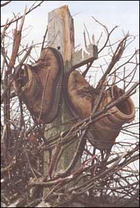 Mike Williams from Pontypool saw these boots discarded on Offa's Dyke near Chepstow 
