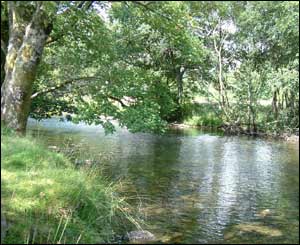 Llinos sent in this calm scene of the river at Beddgelert on a sunny day