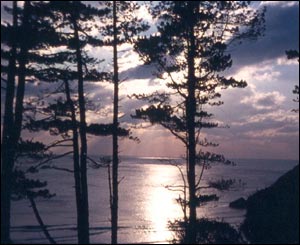 Steve Bird, who lives near Mumbles, south Wales, sent in this picture of Caswell at night