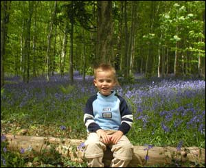 Geraint Edwards' son Dylan taken in the woods near their home in Penrhyncoch, Aberystwyth