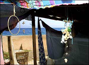 Coral room decorations