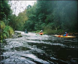 A canoe trip on the River Ystwyth, as sent by Jenny Bearcock