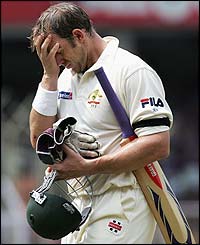 Hayden returns to the pavilion