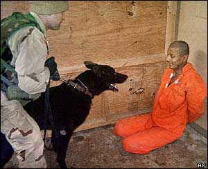 Soldier, dog and detainee (courtesy Washington Post)