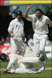 Stephen Harmison celebrates dismissing Stephen Fleming