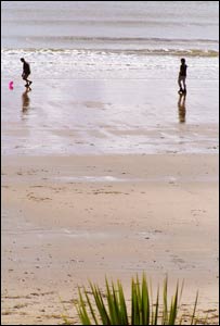 On holiday in Saundersfoot, watching frisbee on the beach at low tide (Owen Davies) 