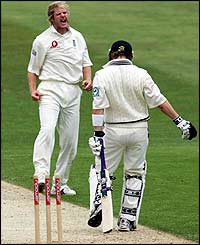 Matthew Hoggard celebrates McCullum's wicket