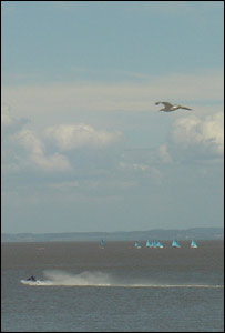 A seagull is caught flying above a jetski rider, taken from Penarth Pier (John Parker)