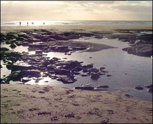 The sun setting at Ogmore Bay, from Matthew Wilkes, who now lives in California