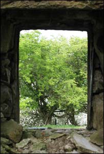 Sarah Day sent in this shot from an abandoned house on the Lleyn Peninsula, in north Wales