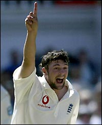 Steve Harmison celebrates dismissing Jacob Oram