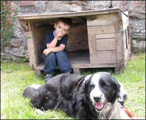 Pam Browne took this picture of JoJo in the doghouse in Upper Cwmbran