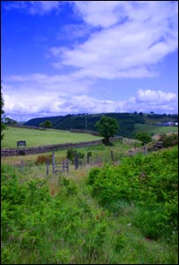 Bargoed mountain taken by Nicholas Archibald Powell 