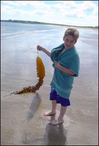 Lawrance Sutton from Barry during a trip to Tenby, sent in by his grandfather Bob