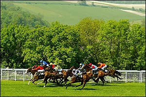 View over Goodwood racecourse