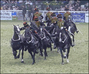 The King's Troop Royal Horse Artillery