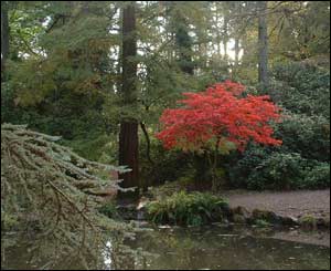 Cefn Onn Park in Lisvane, Cardiff, as sent in by Leigh Franks, who thought it was a lovely autumn scene