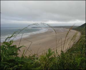 A view from the headland down to Rhosilli beach, sent in by David Clark from Swansea