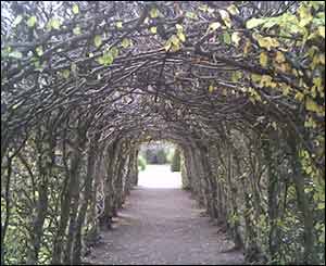 Nicola Andrews took this picture at the Museum of Welsh Life at St. Fagans