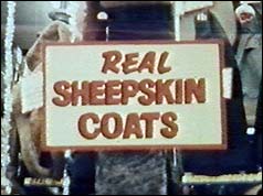Real sheepskin coats sign in shop window