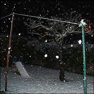 Snow falling in a garden in Hackenthorpe, Sheffield