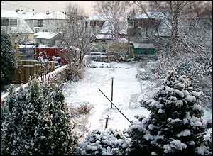 Snow-covered gardens in Aberdeen