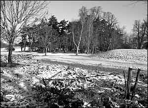Snow in Wollaton Park, Nottingham