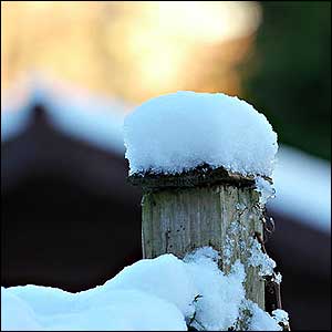 Snow on a fence post in Sheffield