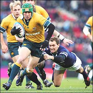 Matt Giteau of the Wallabies